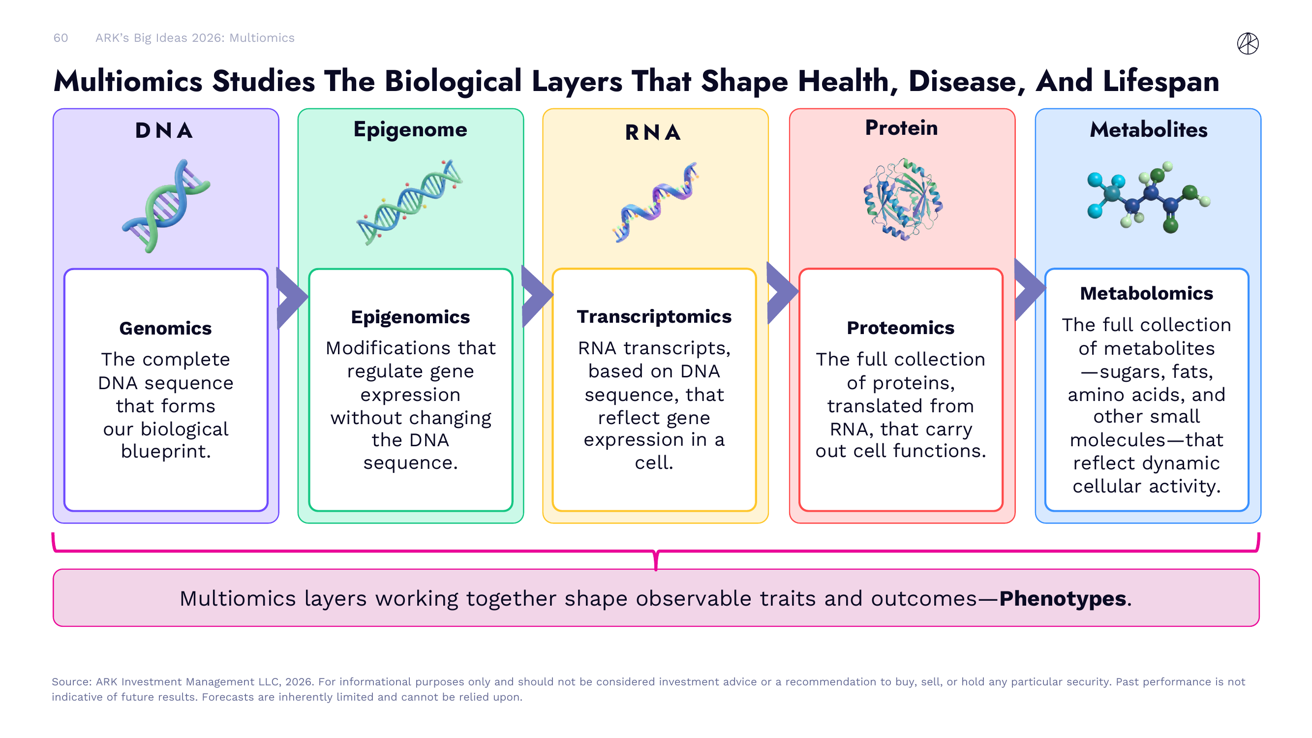 Multiomics Studies The Biological Layers That Shape Health, Disease, And Lifespan